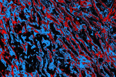 soyut mavi ve kırmızı doku, grunge arkaplan, boşluk duvar kağıdını kopyala