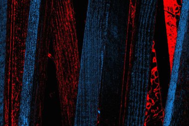 soyut mavi ve kırmızı doku, grunge arkaplan, boşluk duvar kağıdını kopyala