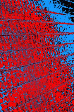 Renkli doku arkaplanı, boşluk duvar kağıdını kopyala