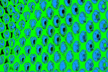 soyut yeşil doku, arkaplan, duvar kağıdını kopyala