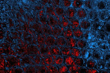 soyut mavi ve kırmızı doku, grunge arkaplan, boşluk duvar kağıdını kopyala