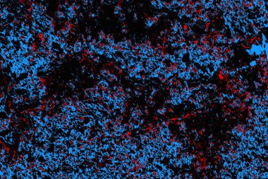 soyut mavi ve kırmızı doku, grunge arkaplan, boşluk duvar kağıdını kopyala