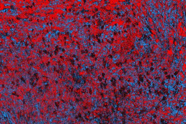 soyut mavi ve kırmızı doku, grunge arkaplan, boşluk duvar kağıdını kopyala