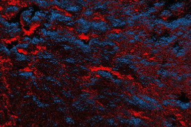 soyut mavi ve kırmızı doku, grunge arkaplan, boşluk duvar kağıdını kopyala