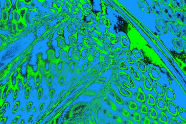 soyut yeşil doku, arkaplan, duvar kağıdını kopyala