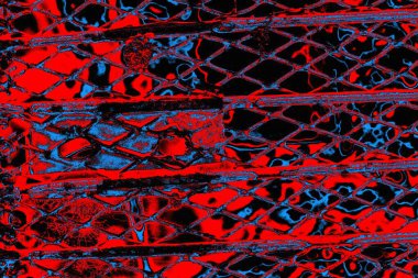 Soyut renk dokusu, grunge arkaplanı, boşluk duvar kağıdını kopyala