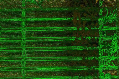 Soyut renk dokusu, grunge arkaplanı, boşluk duvar kağıdını kopyala