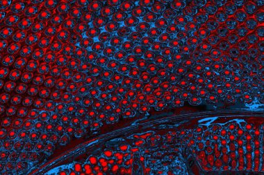 soyut mavi ve kırmızı doku, grunge arkaplan, boşluk duvar kağıdını kopyala