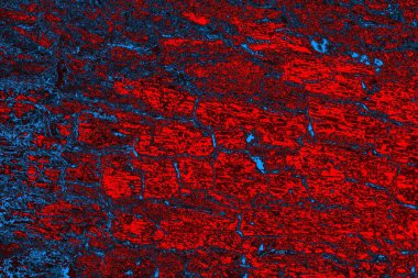 soyut mavi ve kırmızı doku, grunge arkaplan, boşluk duvar kağıdını kopyala