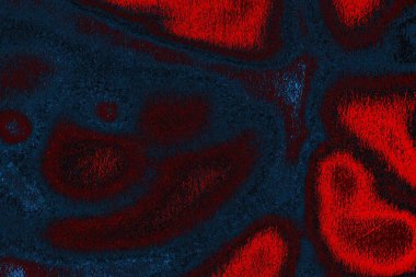 soyut mavi ve kırmızı doku, grunge arkaplan, boşluk duvar kağıdını kopyala