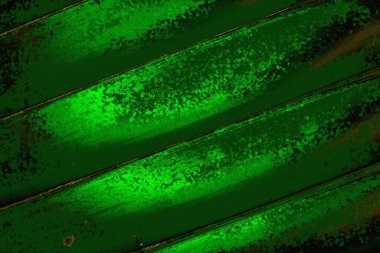 soyut yeşil doku arkaplanı, boşluk duvar kağıdını kopyala