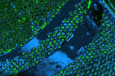 Boşluk duvar kağıdını, grunge arkaplanını, soyut renkli doku arkaplanını kopyala