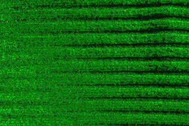 soyut yeşil doku arkaplanı, boşluk duvar kağıdını kopyala