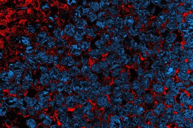 soyut mavi ve kırmızı doku, grunge arkaplan, boşluk duvar kağıdını kopyala