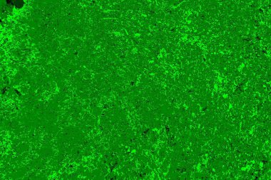 soyut yeşil doku arkaplanı, boşluk duvar kağıdını kopyala