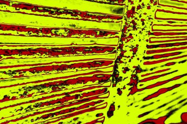  grunge arkaplanı, boşluk duvar kağıdını kopyala, soyut renkli doku arkaplanı