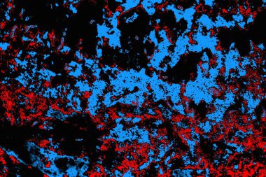 soyut mavi ve kırmızı doku, grunge arkaplan, boşluk duvar kağıdını kopyala