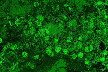 soyut yeşil doku arkaplanı, boşluk duvar kağıdını kopyala