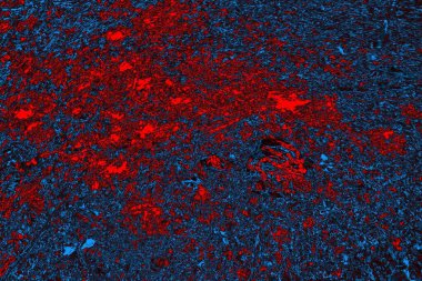 soyut mavi ve kırmızı doku, grunge arkaplan, boşluk duvar kağıdını kopyala