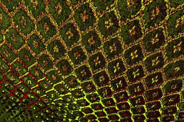 yaratıcı ve tasarım sanatı, kopyalama alanı duvar kağıdı, soyut renkli doku arkaplanı