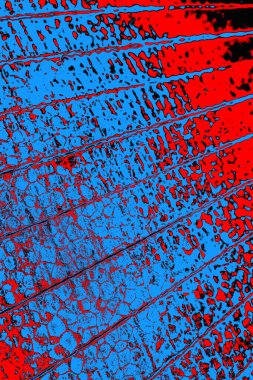 soyut mavi ve kırmızı doku, grunge arkaplan, boşluk duvar kağıdını kopyala