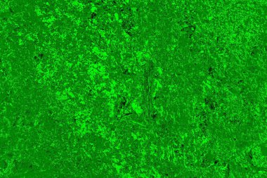 soyut yeşil doku arkaplanı, boşluk duvar kağıdını kopyala