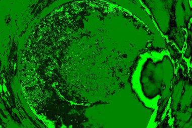 Soyut renk dokusu, grunge arkaplanı, boşluk duvar kağıdını kopyala