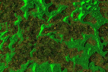 soyut yeşil doku arkaplanı, boşluk duvar kağıdını kopyala