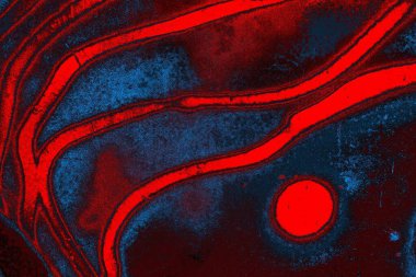 Soyut renk dokusu, grunge arkaplanı, boşluk duvar kağıdını kopyala