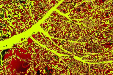 Soyut pejmürde bir doku. Asit grunge arkaplanı, metin veya reklamınız için boşluk resmini kopyala