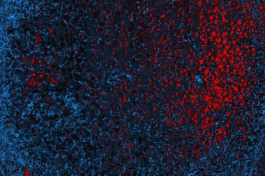 soyut doku, grunge arkaplan, boşluk duvar kağıdını kopyala