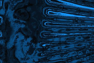 soyut doku, grunge arkaplan, boşluk duvar kağıdını kopyala      