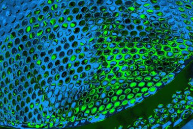 Boşluk duvar kağıdını, grunge arkaplanını, soyut renkli doku arkaplanını kopyala