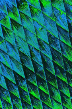 Boşluk duvar kağıdını, grunge arkaplanını, soyut renkli doku arkaplanını kopyala