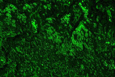 Soyut renk dokusu, grunge arkaplanı, boşluk duvar kağıdını kopyala