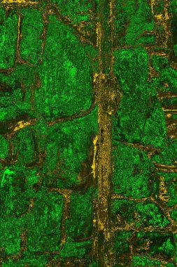 soyut yeşil doku arkaplanı, boşluk duvar kağıdını kopyala