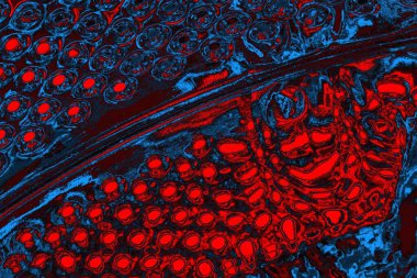 soyut mavi ve kırmızı doku, grunge arkaplan, boşluk duvar kağıdını kopyala