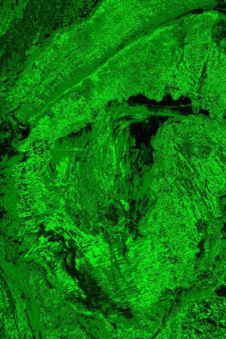 soyut yeşil doku arkaplanı, boşluk duvar kağıdını kopyala