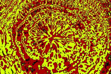 Boşluk duvar kağıdını, grunge arkaplanını, soyut renkli doku arkaplanını kopyala