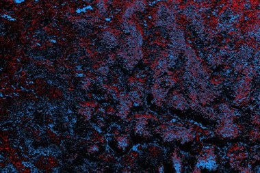 soyut mavi ve kırmızı doku, grunge arkaplan, boşluk duvar kağıdını kopyala