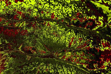 Boşluk duvar kağıdını, grunge arkaplanını, soyut renkli doku arkaplanını kopyala