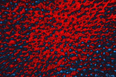 soyut doku, grunge arkaplan, boşluk duvar kağıdını kopyala