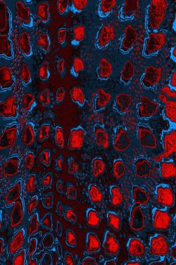 Soyut renk dokusu, grunge arkaplanı, boşluk duvar kağıdını kopyala