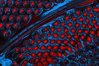 soyut mavi ve kırmızı doku, grunge arkaplan, boşluk duvar kağıdını kopyala