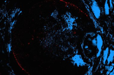 soyut mavi ve kırmızı doku, grunge arkaplan, boşluk duvar kağıdını kopyala