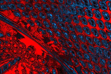 soyut mavi ve kırmızı doku, grunge arkaplan, boşluk duvar kağıdını kopyala