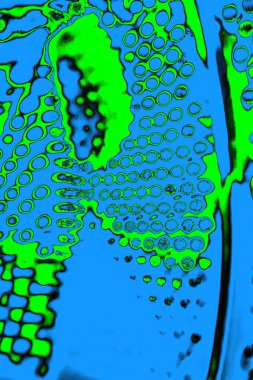 soyut yeşil doku, arkaplan, duvar kağıdını kopyala