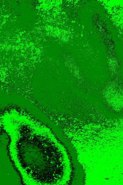 yeşil doku arkaplanı, boşluk duvar kağıdını kopyala