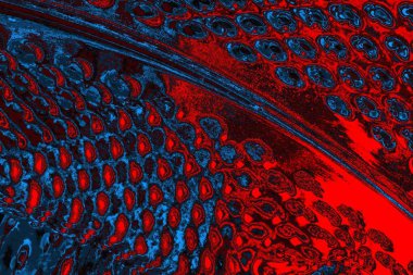 soyut mavi ve kırmızı doku, grunge arkaplan, boşluk duvar kağıdını kopyala