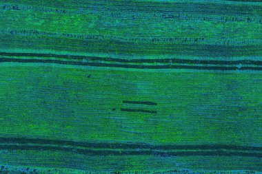 Boşluk duvar kağıdını, grunge arkaplanını, soyut renkli doku arkaplanını kopyala